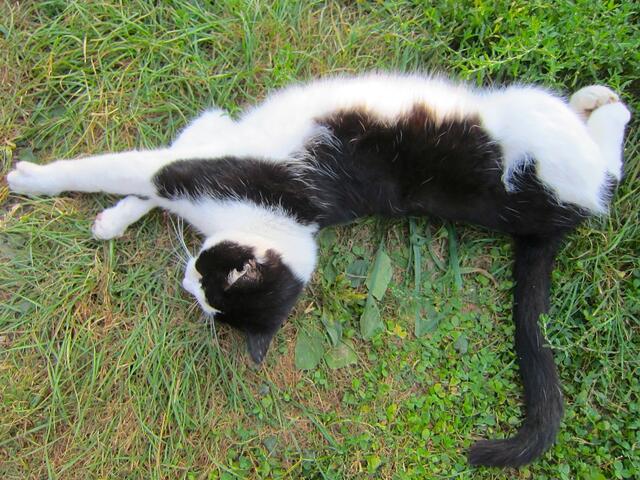 Es geht mir gut hier!