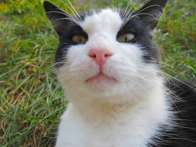 Die Frage hast du jetzt nicht wirklich gestellt??????!