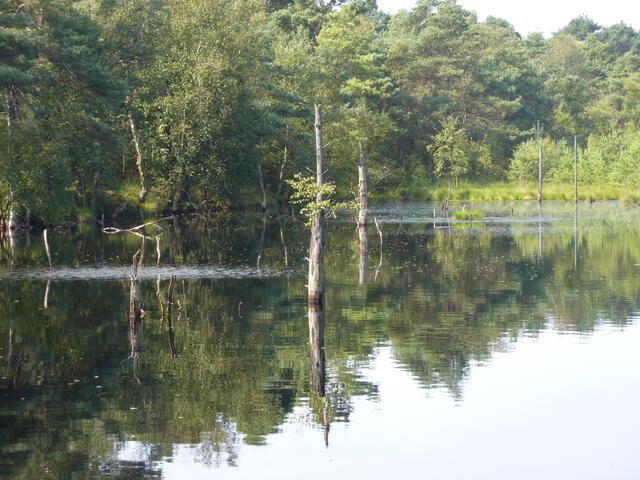 Spiegelungen