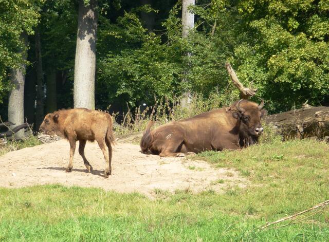 Besuch bei der Mama