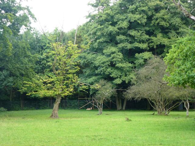 Wieder ein Suchbild...