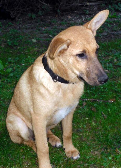 Die hatten doch alle behauptet ich wäre kein hübsches Mädchen