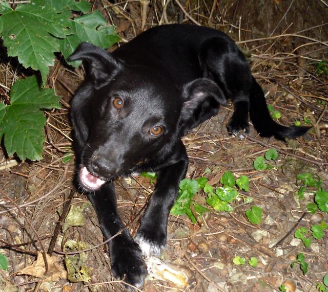 Ich bin ganz lieb und soooo Dankbar hier sein zu dürfen