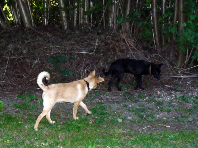 ...und werden auch vverwöhnt