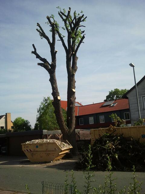 Das Skelett, dass Anlieger und Berichterstatter zu Tränen rührt