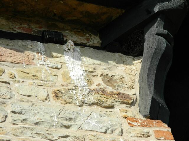 Ein Falke hat hier sein Nest.