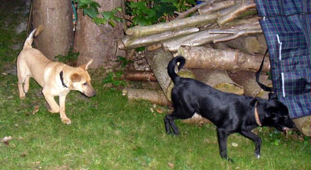 Wir sind rundum glücklich...