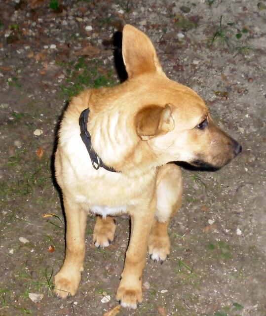 Ich Luna bin 4 Monate alt und eigentlich als zurückhaltend eingestuft worden.