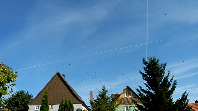 .... jagen über die Häuser............