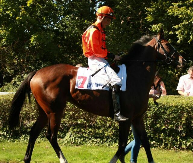Dieser Jockey war schon im Führring startklar