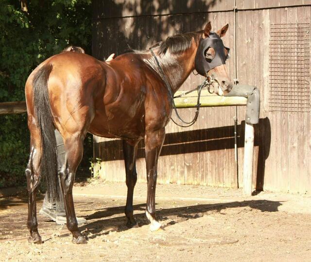 Vor der Dusche