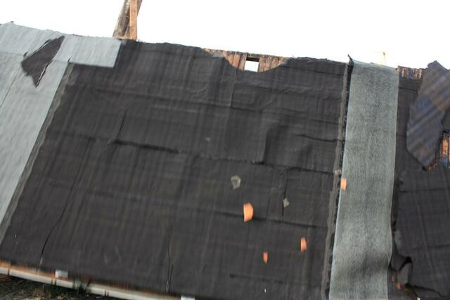 Aufprall des Dachs auf dem Boden