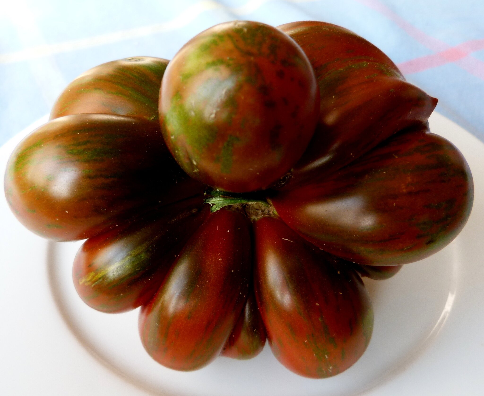 Tomate mal ANDERS !!! - Göhren Tomate mal ANDERS !!! - Göhren