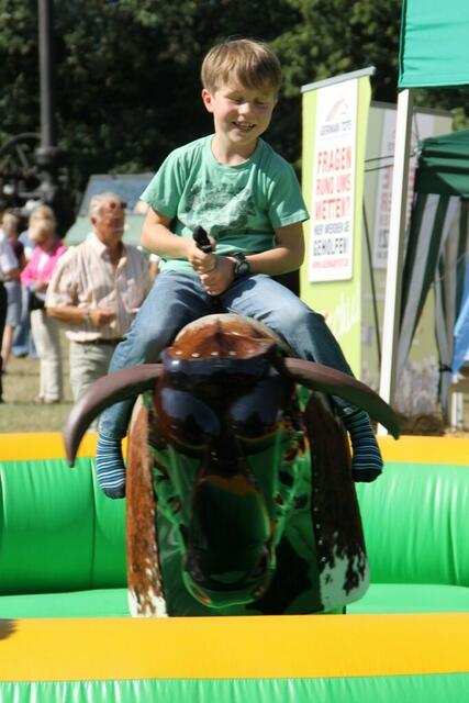 ... und wenn ich klein bleibe, werde ich Jockey und gewinne das Derby ...