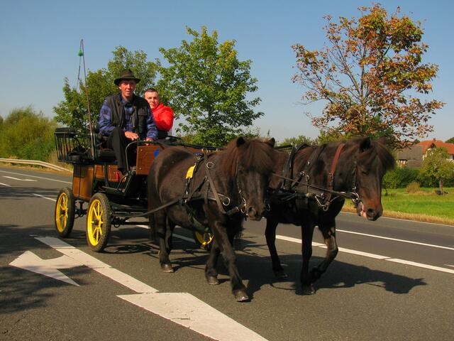 ... auch mit der Kutsche ist man unterwegs