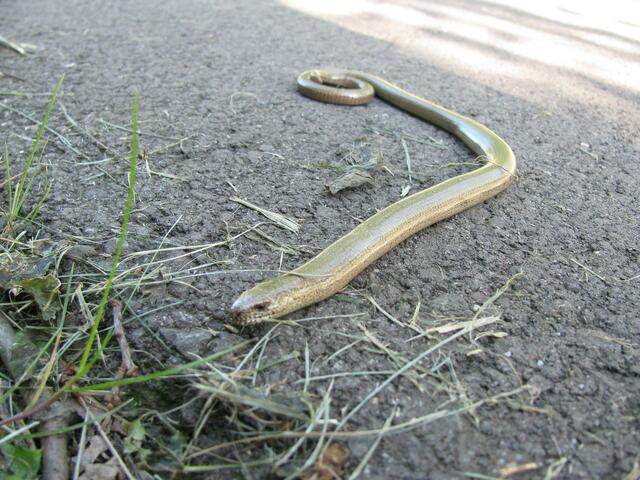 Uih, nix wie weg; eindeutig zu viel Betrieb heute!
