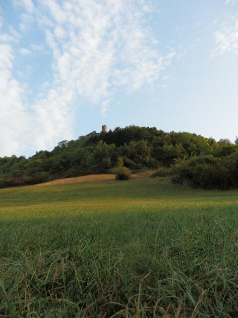 Auf den Weg zur Burg