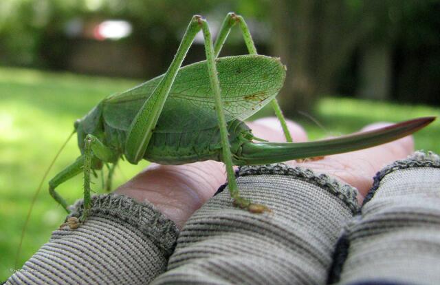 Eine rettende Hand...