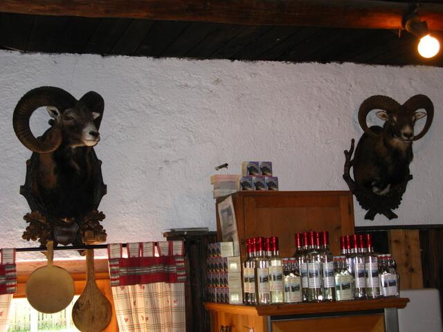 Wandschmuck im Lokal