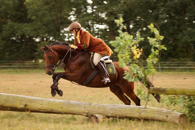 Camilla Freifrau von Dungern mit ihrem Pferd beim Sprung über ein Hindernis während der herbstlichen Schleppjagd in Thönse. Weitere Bilder von der Schleppjagd 2012 - Hof Feldmann siehe hier: http://www.myheimat.de/burgwedel/freizeit/schleppjagd-2012-hof-feldmann-d2447629.html