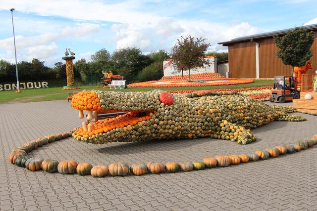 das Krokodil sucht noch einen Namen - es ist jedenfalls riesig, aber sehr, sehr schön zum Ansehen.