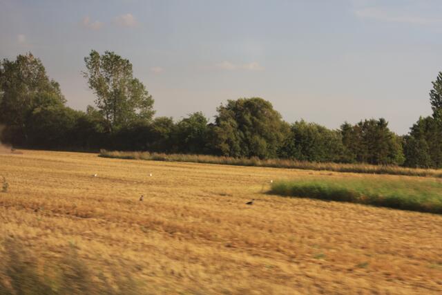 Die Landschaft Jütlands