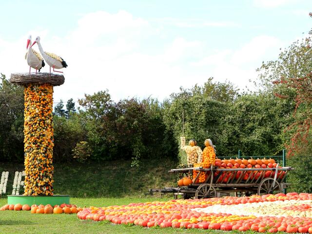 hinter dem Storchenturm verbirgt sich ein großer Spargel - denn für diesen ist der Bohrerhof auch bekannt.