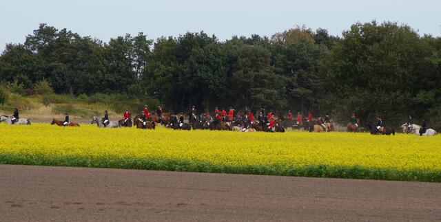 Kein  Herbst in Burgwedel ohne diese Bilder. Pferde und Reiter versammeln sich in der Feldmark während der alljährlichen Schleppjagd, ausgerichtet von Hof Feldmann und der Reitsportgemeinschaft Roggenhof e.V.