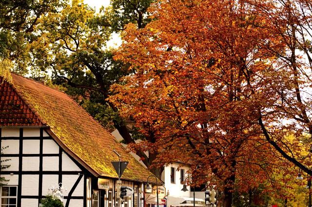 Der beginnende Herbst zeigt sich am Eingang zur Fußgängerzone von Großburgwedel mit einem prächtigen Farbspiel.