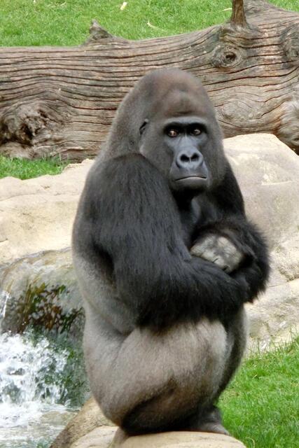Na, und der Chef erst! Totaaal die miese Laune!