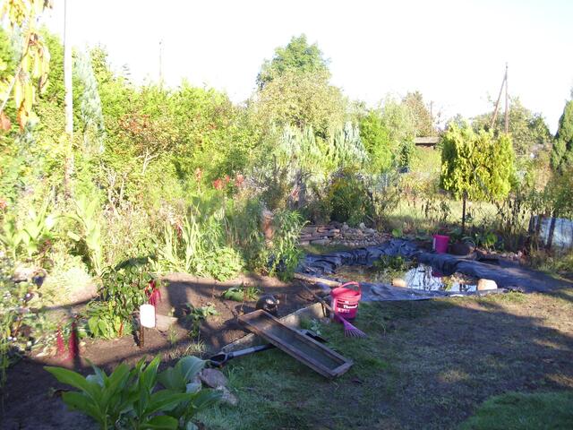 Mein Wildgarten-noch mit Arbeitsmaterial "geschmückt".