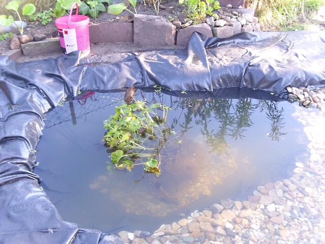Tiefwasser