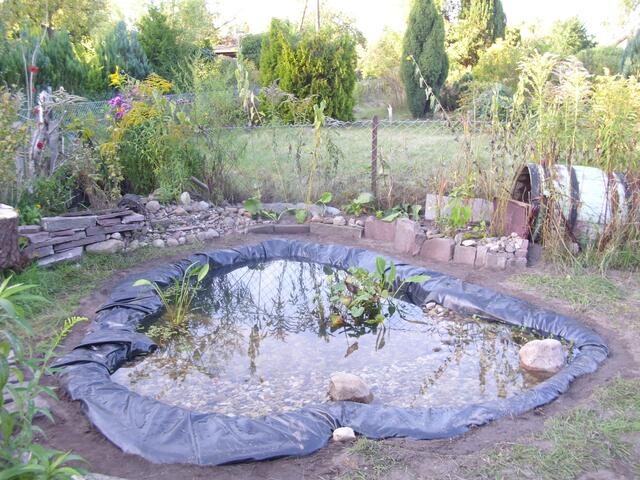 Mein Teich !!!  ;-)))Wassermenge und Größe davon (noch) unbekannt-"Frei Schnauze" angelegt !