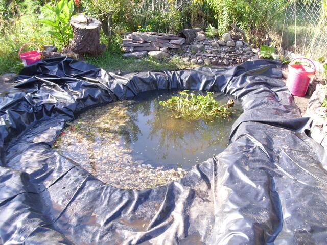 2te Zone mit Kies ( handgewaschen!) und Wasser bedeckt.