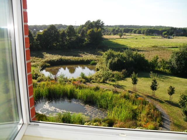 Blick aus dem Hotel