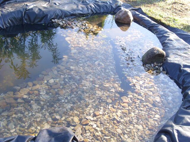 Flachwasserzonen.