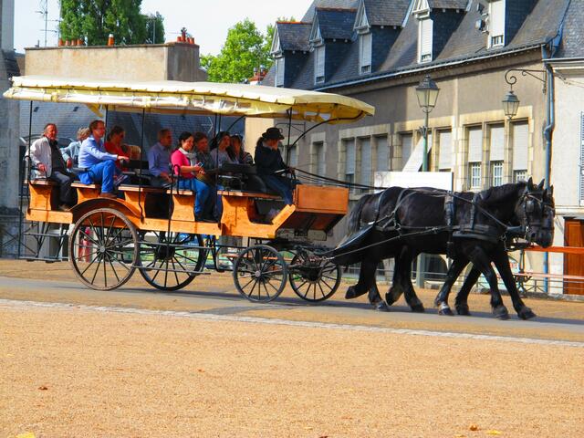 Willkommen bei Touristen,die Pferdegespanne.