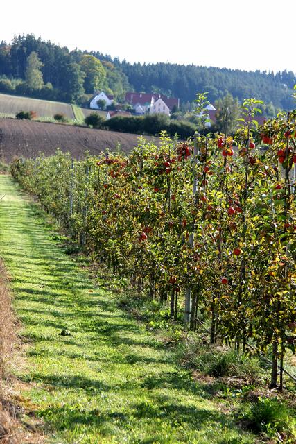 in dieser herrlichen Lage ...