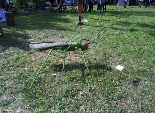Ob sie fliegen kann?