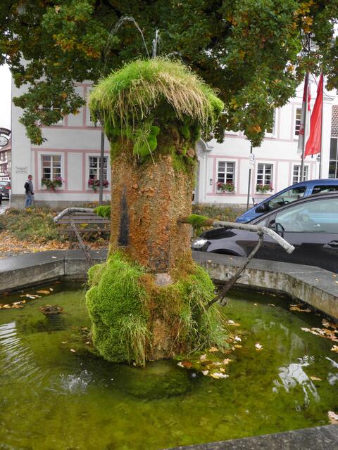 dieser Brunnen könnte mal vom Unkraut befreit werden - oder ist das Stil??