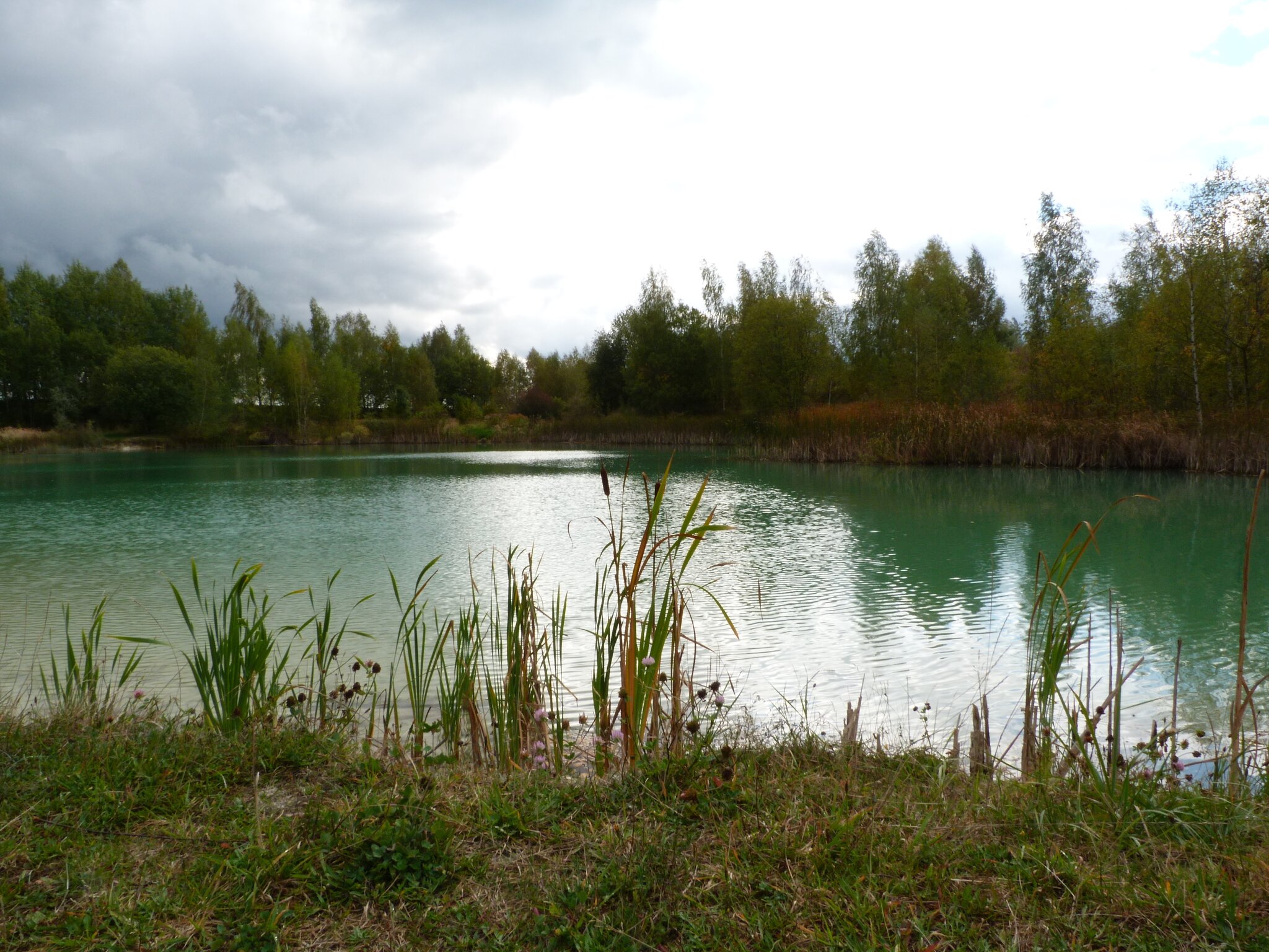 Yalangoch Traxtenberg