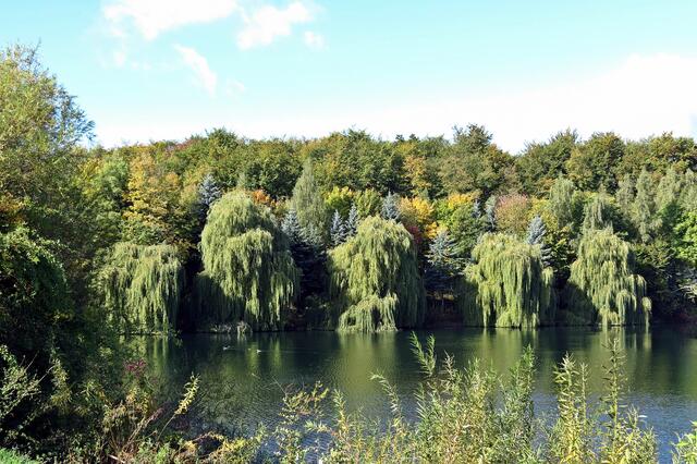 Kleiner See am Bültener Holz