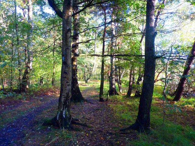 Der Uferweg im Abendlicht