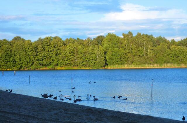 Abendstimmung am Silbersee