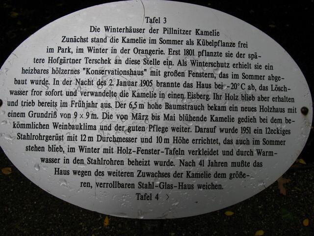 Hinweistafel zur Geschichte der Pillnitzer Kamelie