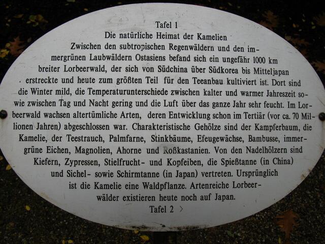 Hinweistafel zur Geschichte der Pillnitzer Kamelie