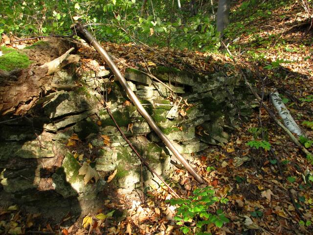 Trockenmauer im Wald