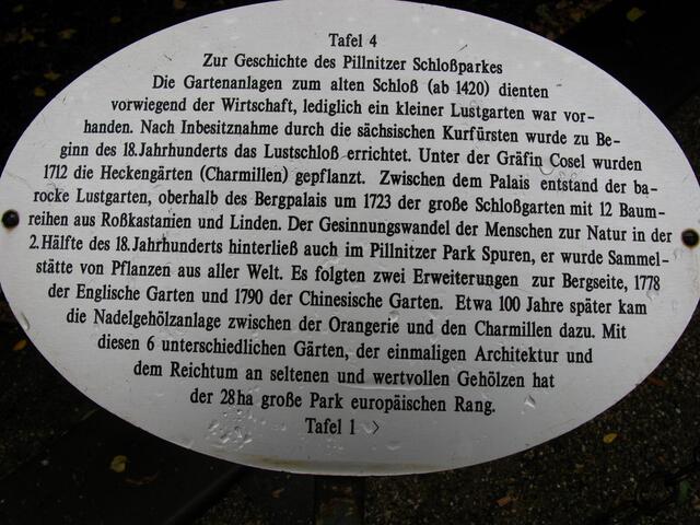 Hinweistafel zur Geschichte der Pillnitzer Kamelie