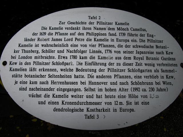 Hinweistafel zur Geschichte der Pillnitzer Kamelie