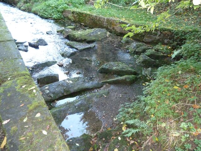Hamelquelle.